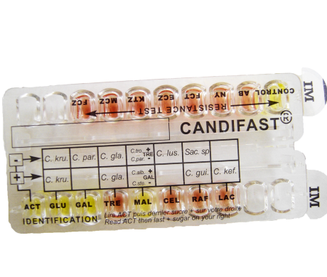 CANDIFAST ES Twin superficial infection