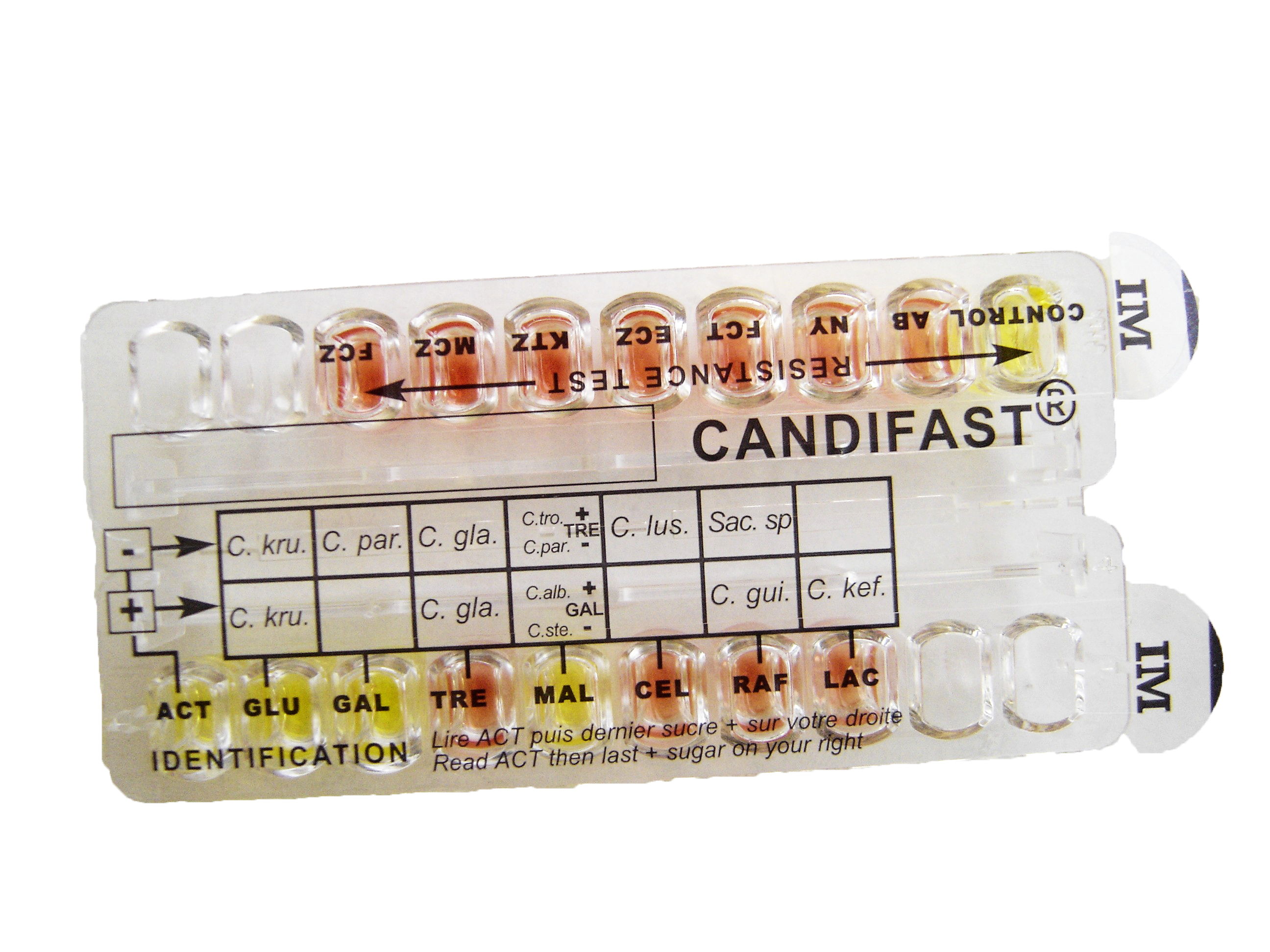 CANDIFAST ES Twin superficial infection