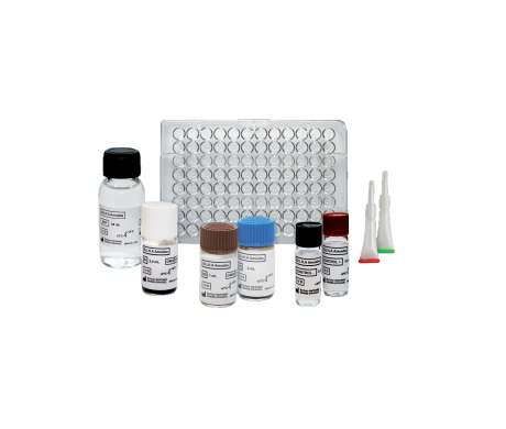 ELI.H.A Aspergillus quantitative detection