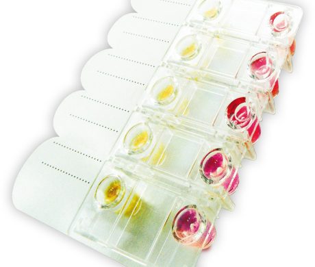 Mycofast screening