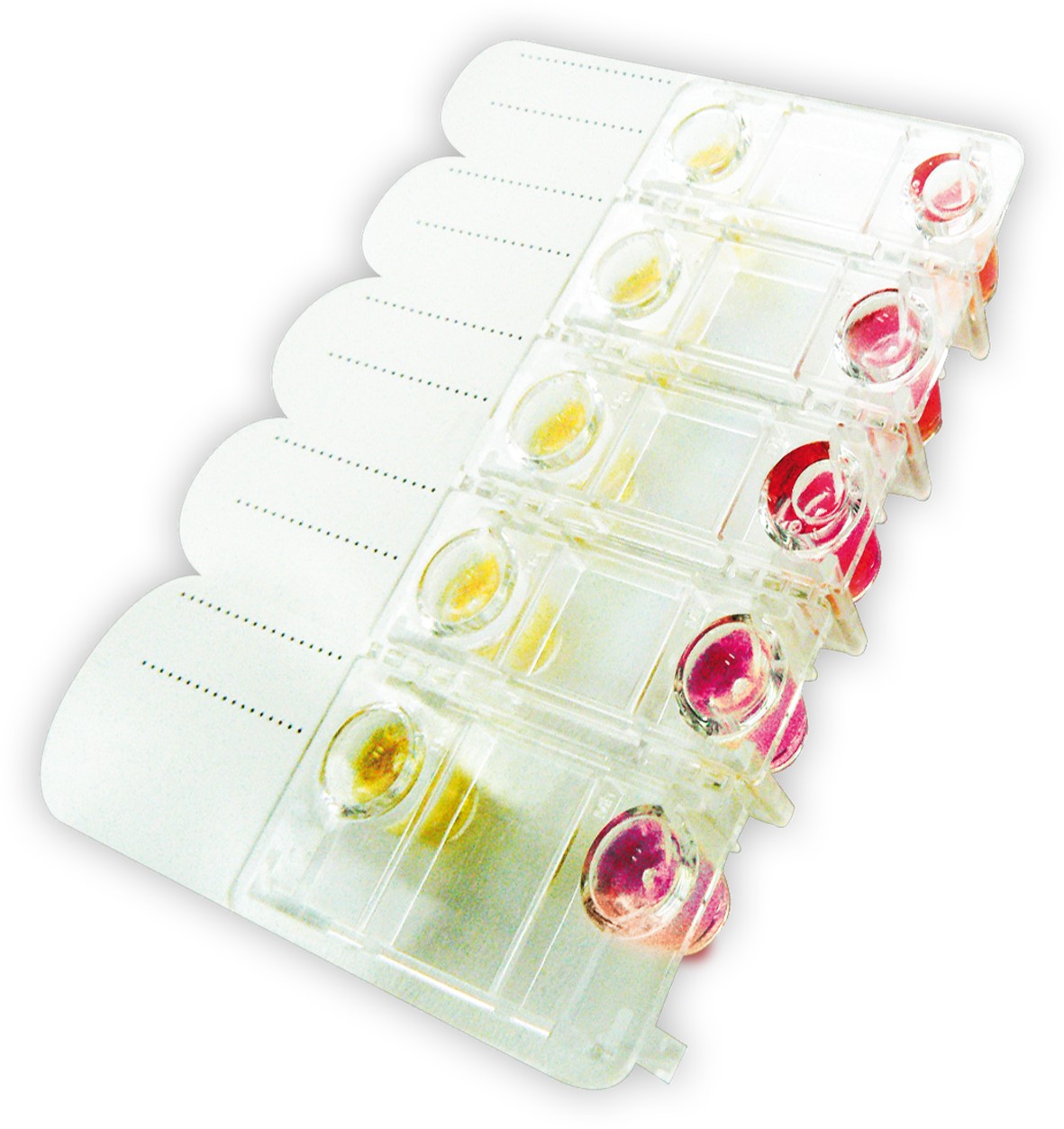 Mycofast screening
