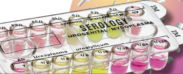 Serology MUG urogenital mycoplasma susceptibility