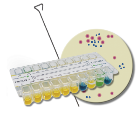 URIFAST 2 antimicrobial susceptibility test enterobacteriacae