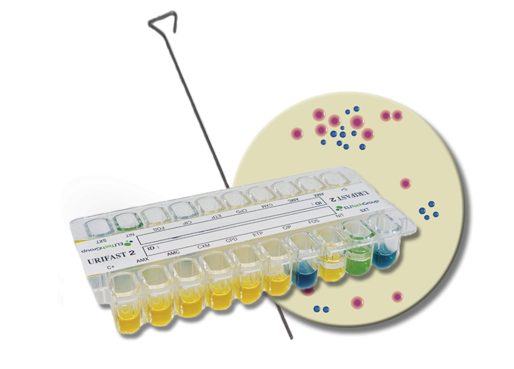 URIFAST 2 antimicrobial susceptibility test enterobacteriacae