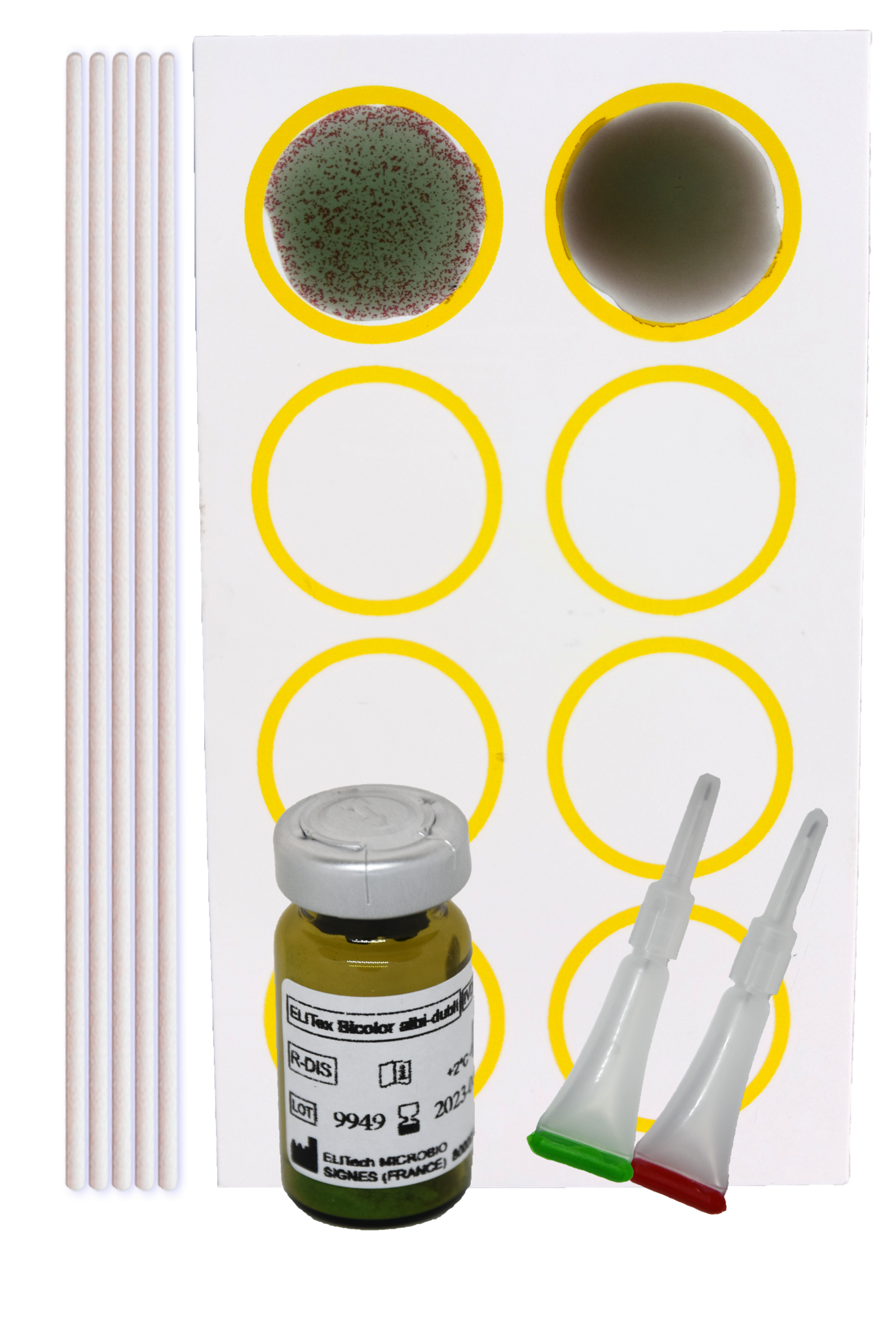 ELITex albi dubli albicans dubliniensis detection