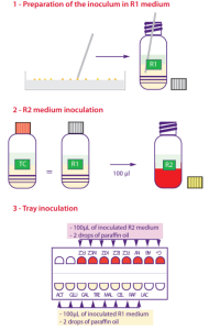 CANDIFAST antifungal susceptibility test superficial infections