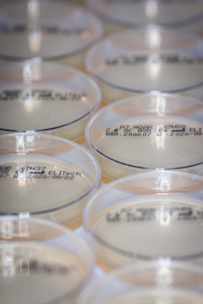 A7 Agar Urogenital mycoplasma detection