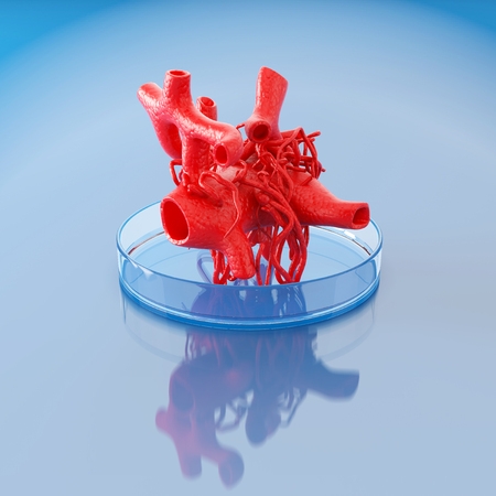 3D Printing Human Body Parts  : 3D Printing Is All The Rage Right Now;
